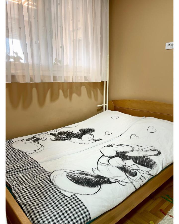 Apartman Jelena Appartement Sremska Mitrovica Buitenkant foto
